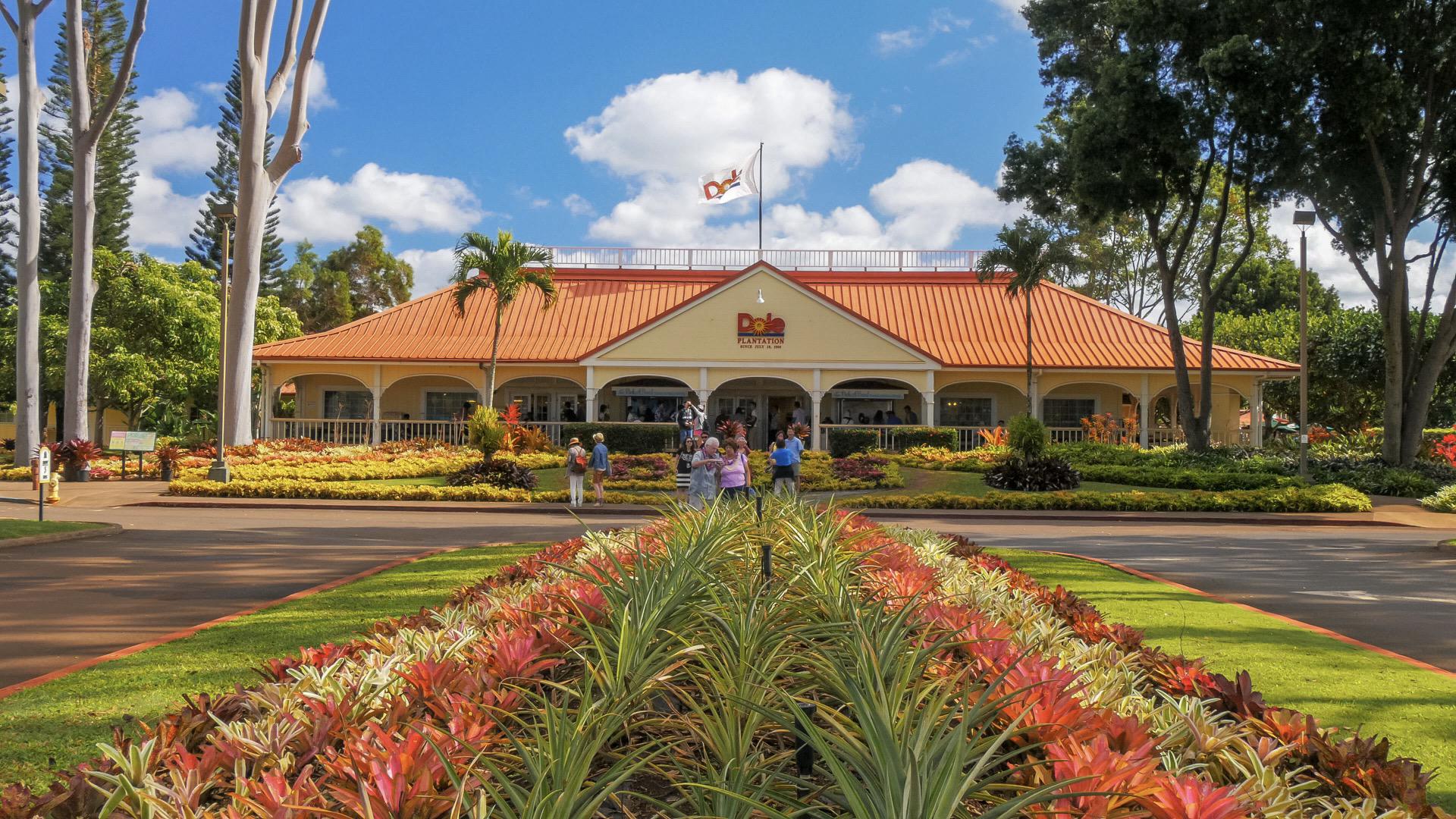 Dole Plantation - Pineapple Plantation In Oahu - Grand Tour