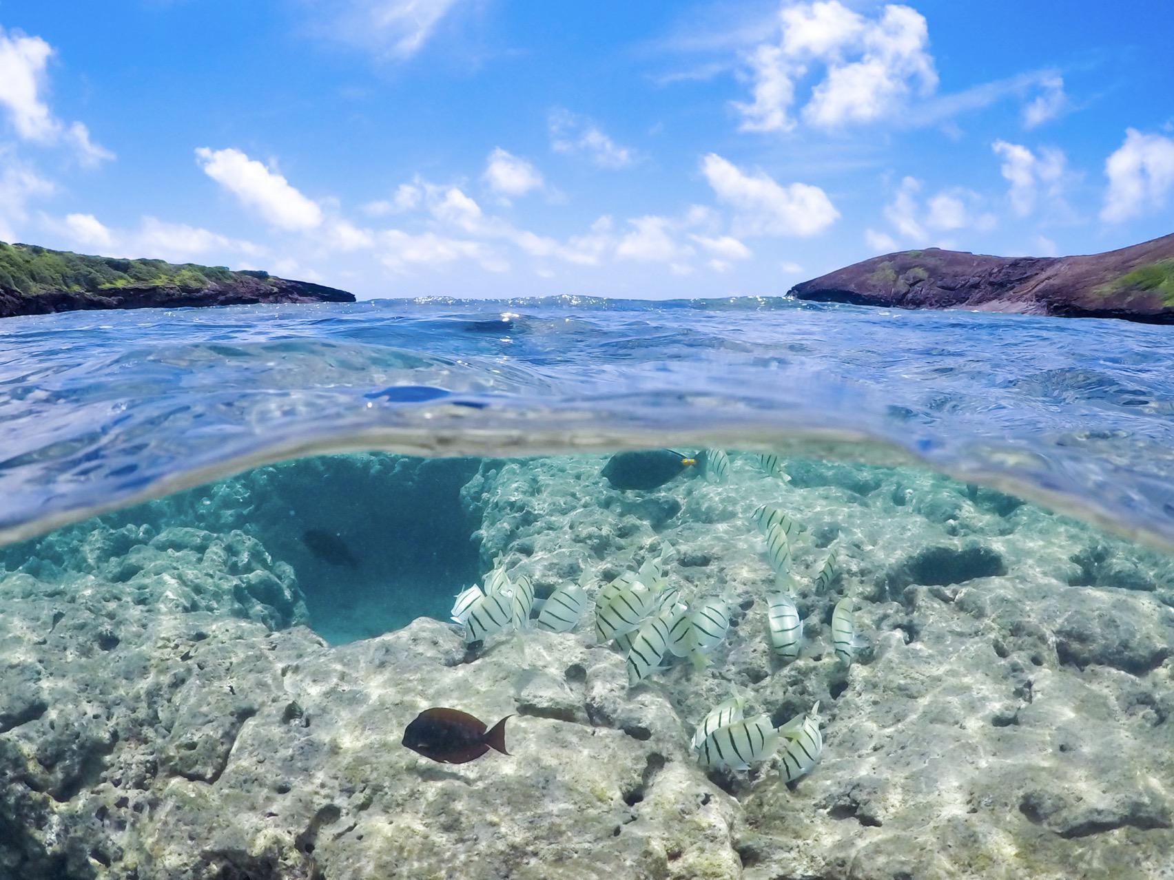 Snorkeling At Hanauma Bay Nature Preserve 