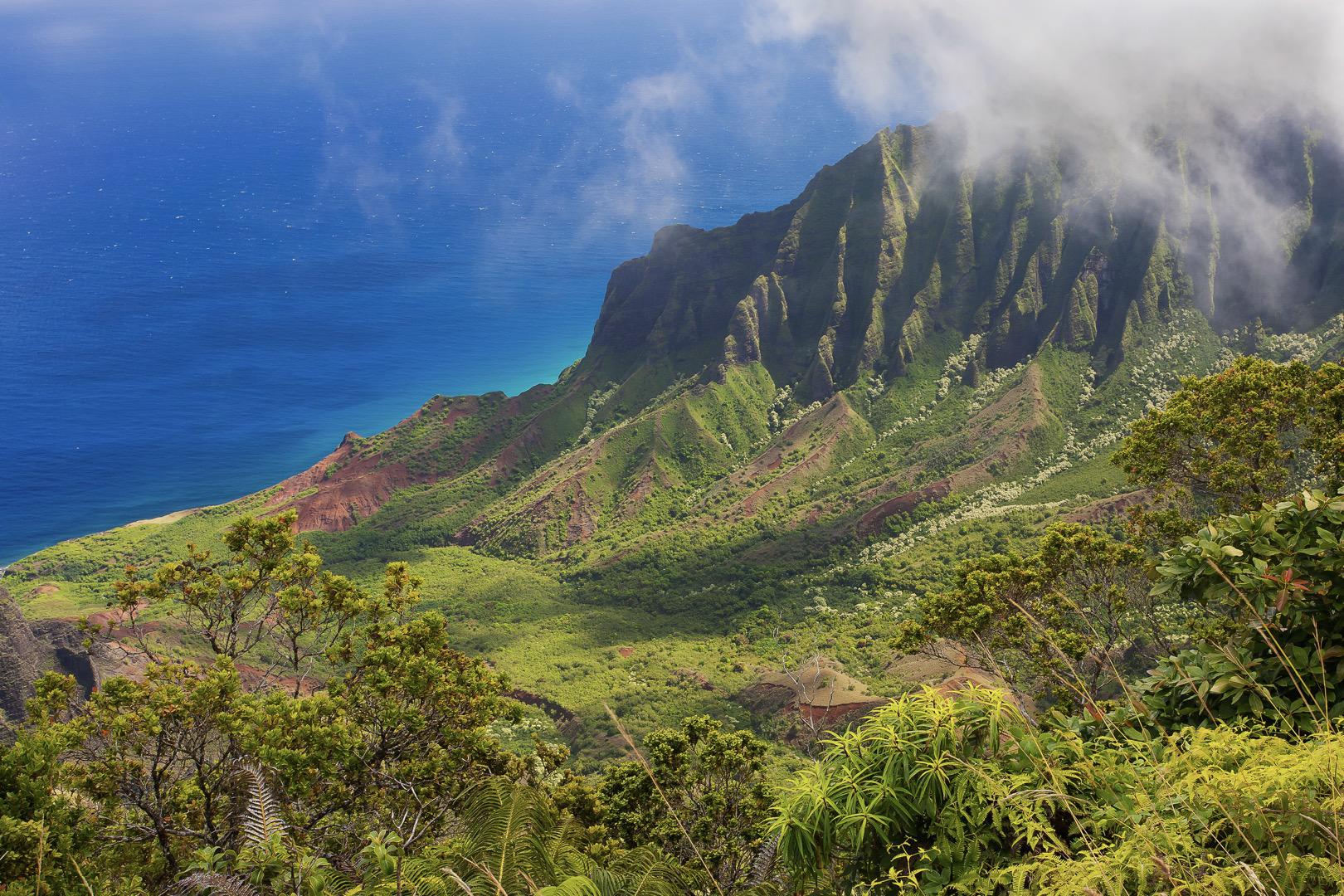 Waimea Valley - Beautiful Treasure of Oahu Island - Circle Tour