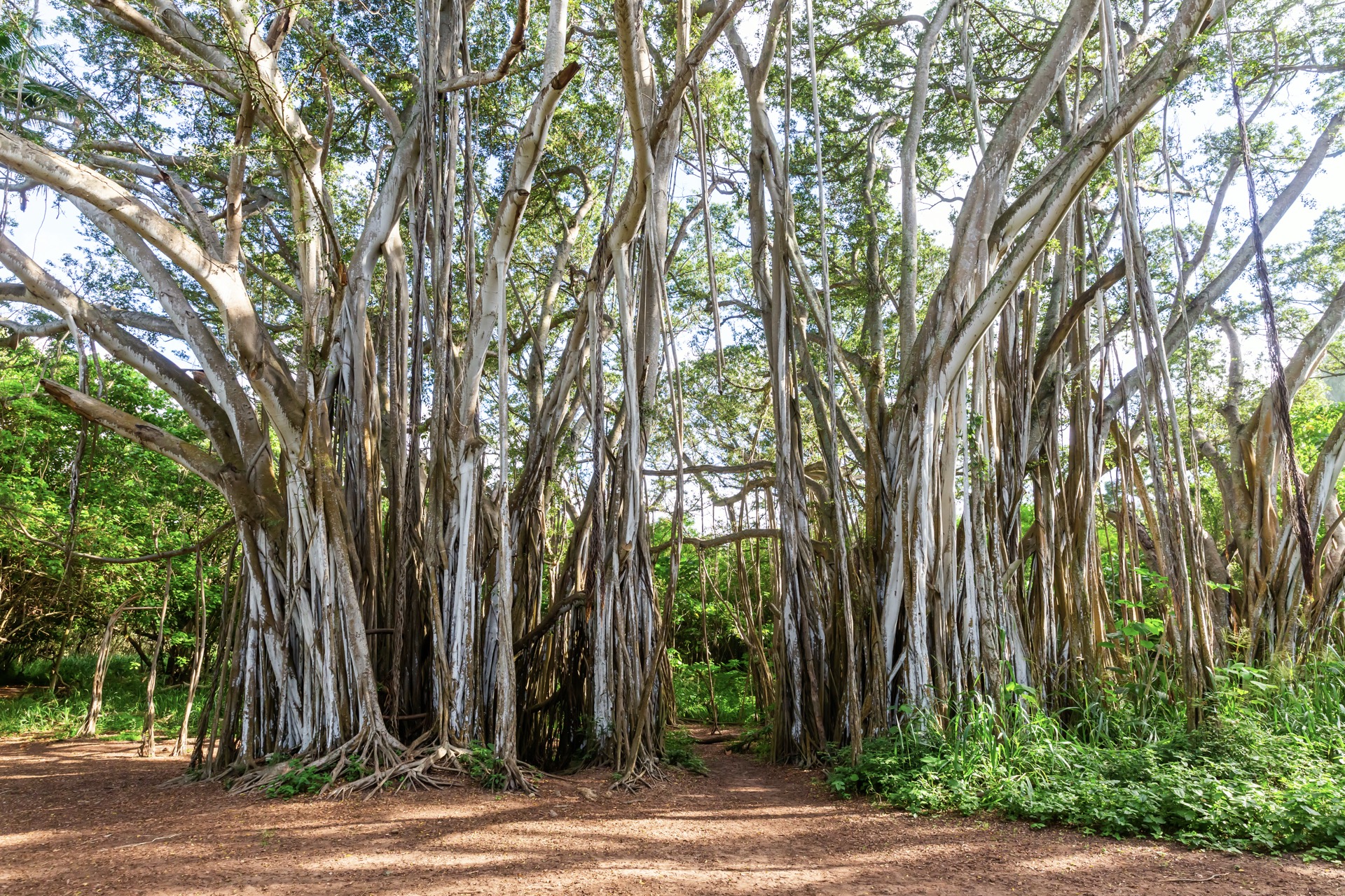 Kawela Bay Beach Park A Hidden Gem Near Kahuku Travel Aloha Hawaii